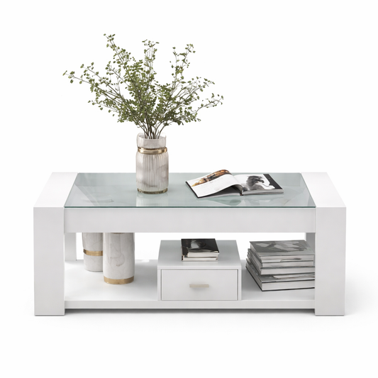 Table Basse Rectangulaire 100 × 50 cm – Verre & Rangement Blanc